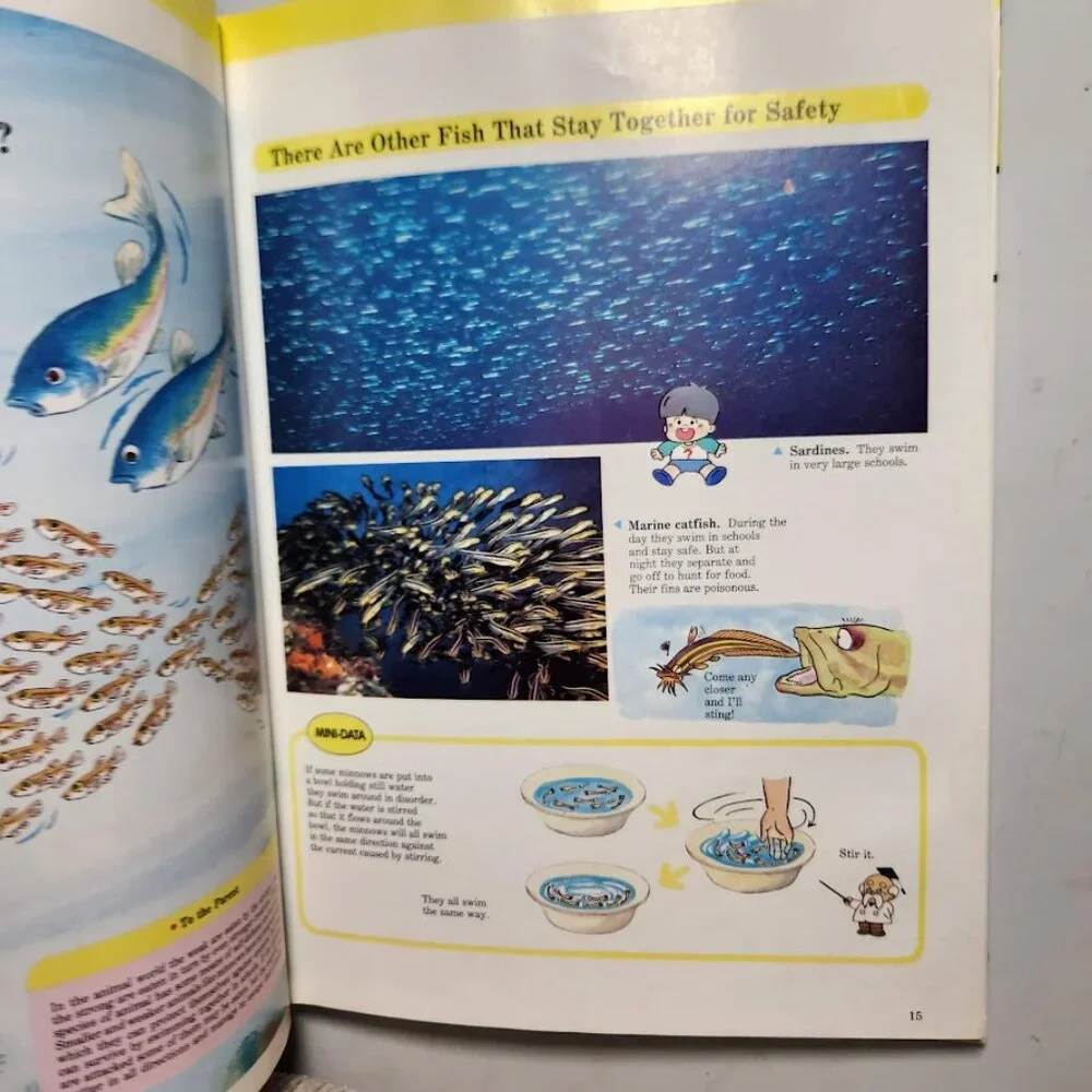 Life in the Water Child's First Library of Learning Science Stem Book Homeschool